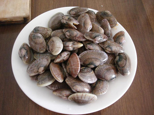 东莞蔬菜公司