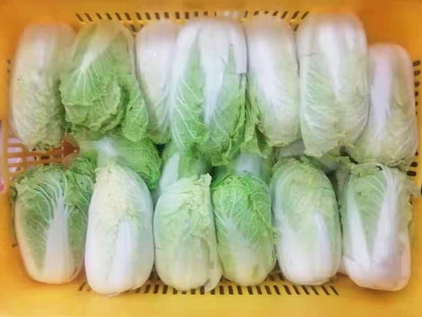 东莞蔬菜配送