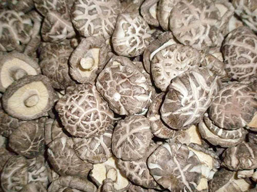 东莞蔬菜批发